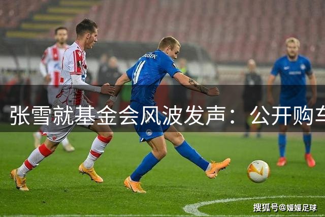张雪就基金会风波发声：公开购车票据即可化解争议
